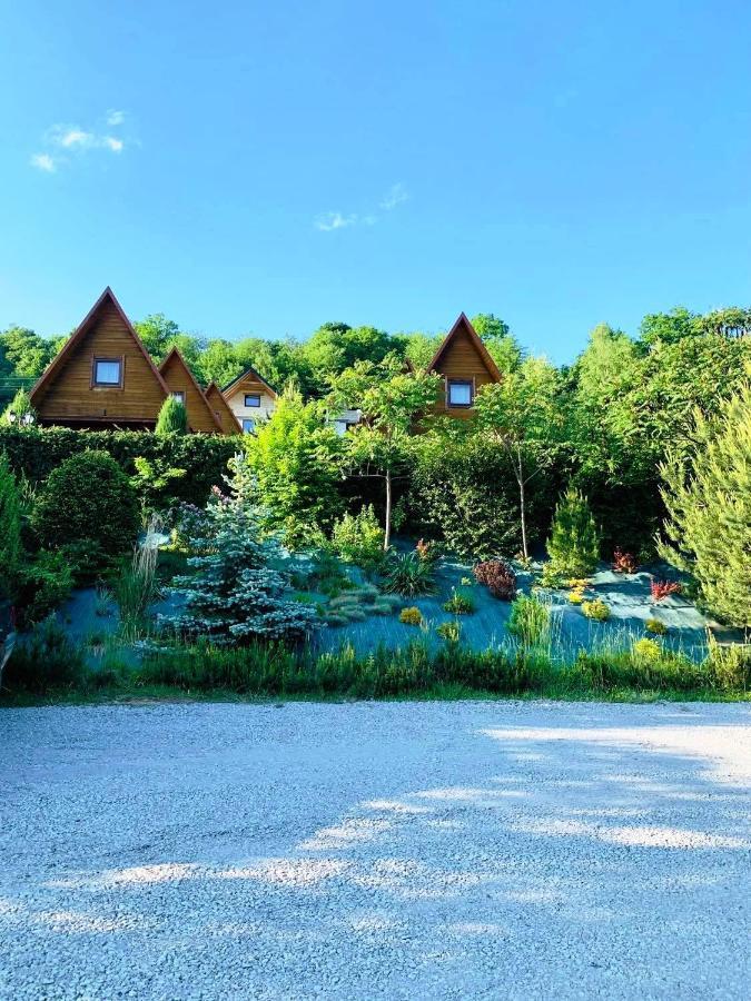 Domki Nad Solina Czarny Kot 509-797-777 מראה חיצוני תמונה