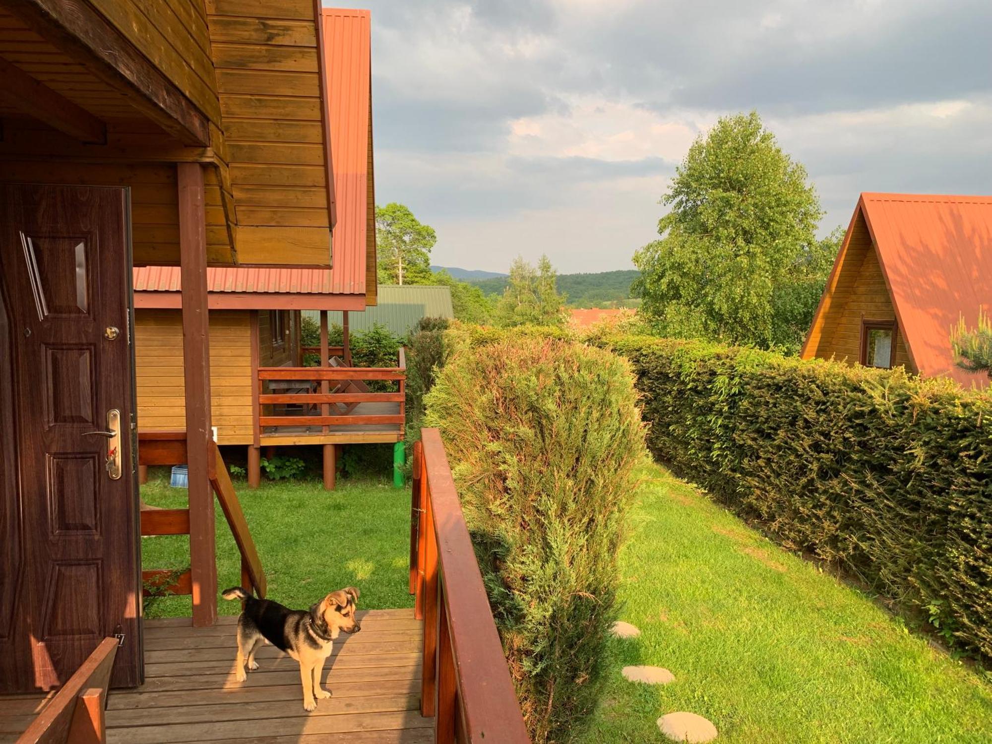 Domki Nad Solina Czarny Kot 509-797-777 מראה חיצוני תמונה