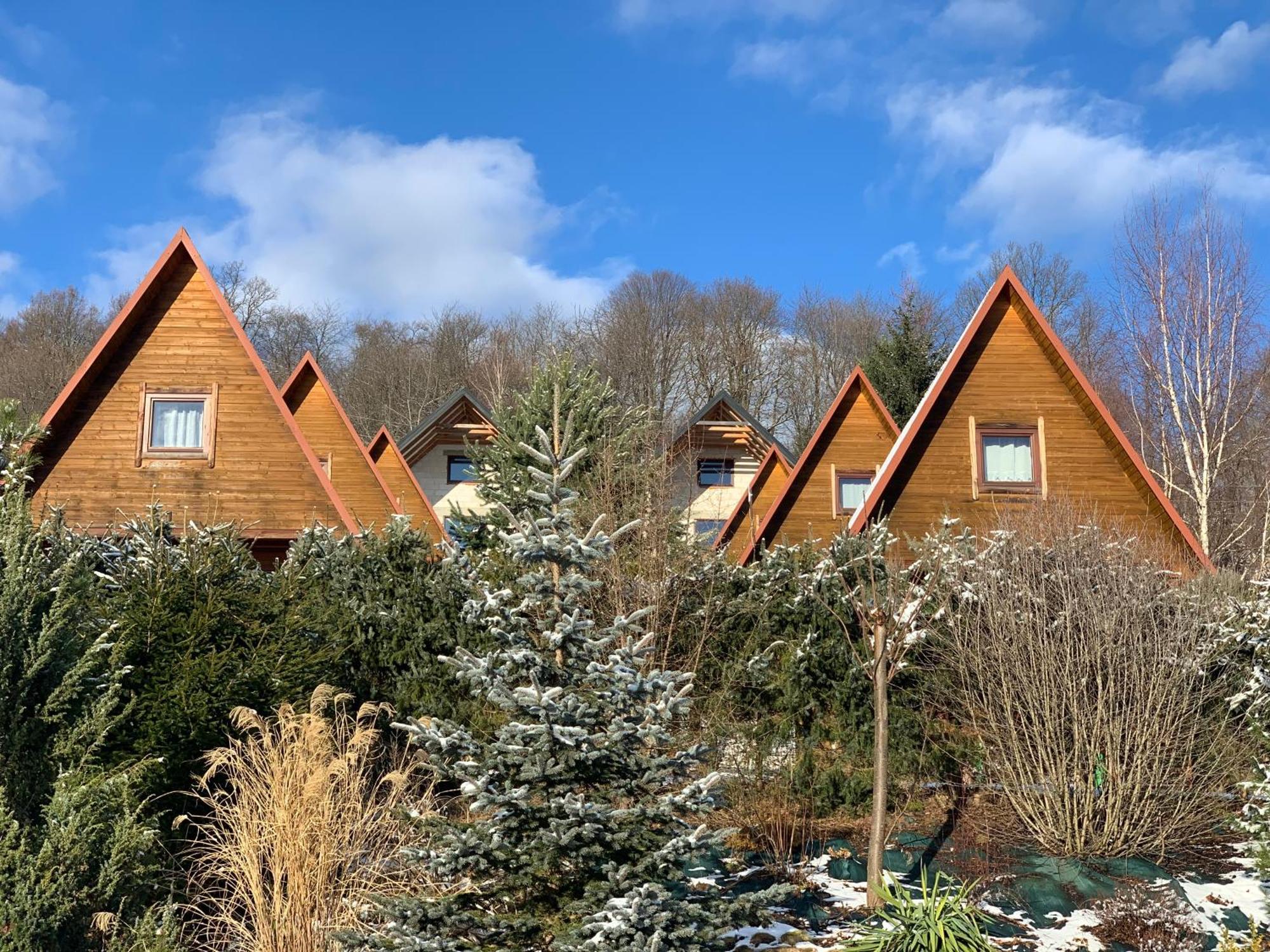 Domki Nad Solina Czarny Kot 509-797-777 מראה חיצוני תמונה