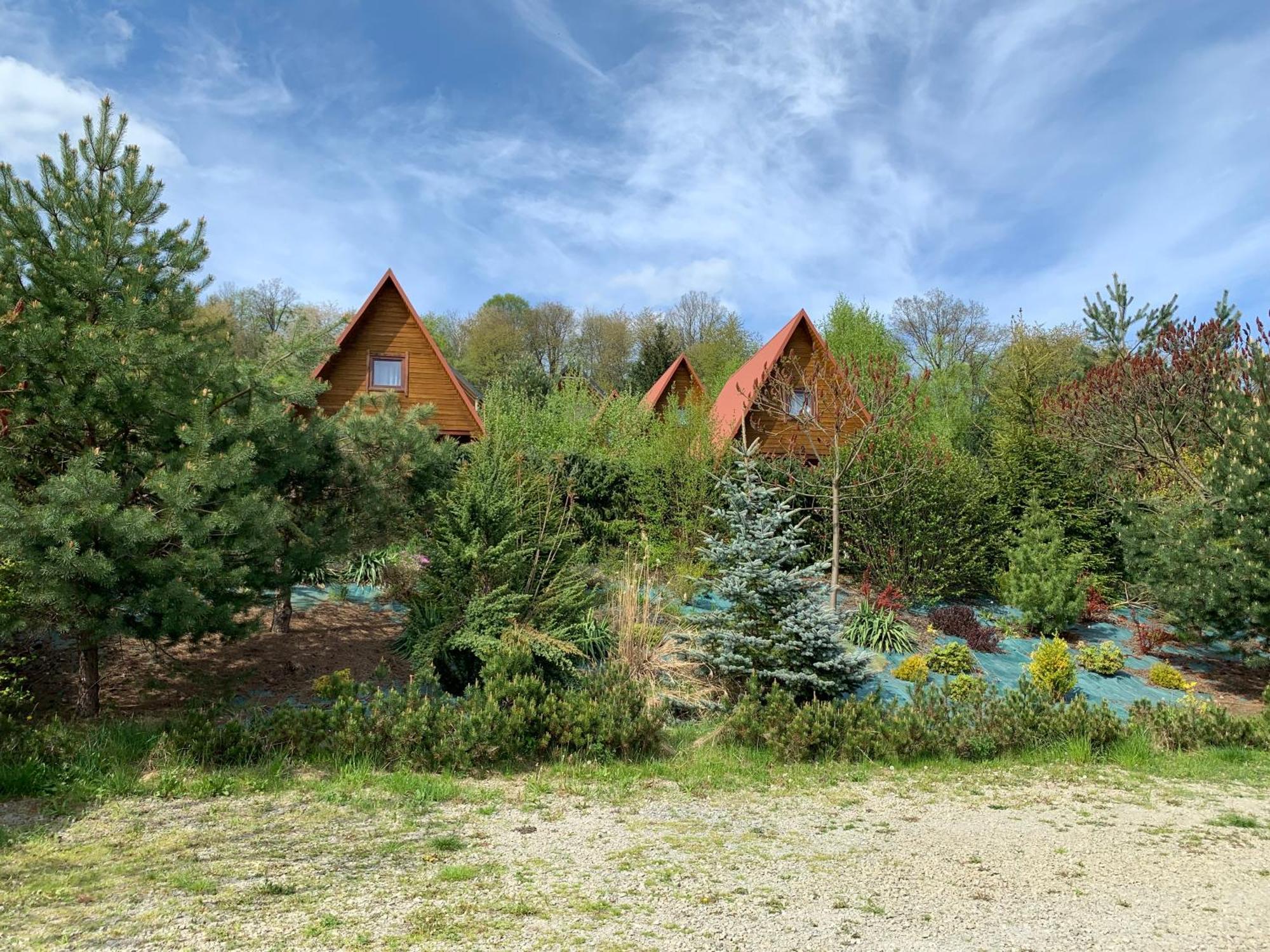 Domki Nad Solina Czarny Kot 509-797-777 מראה חיצוני תמונה